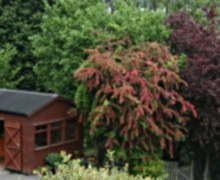 Abriachan Nurseries Garden Shed